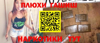 крисы Гай