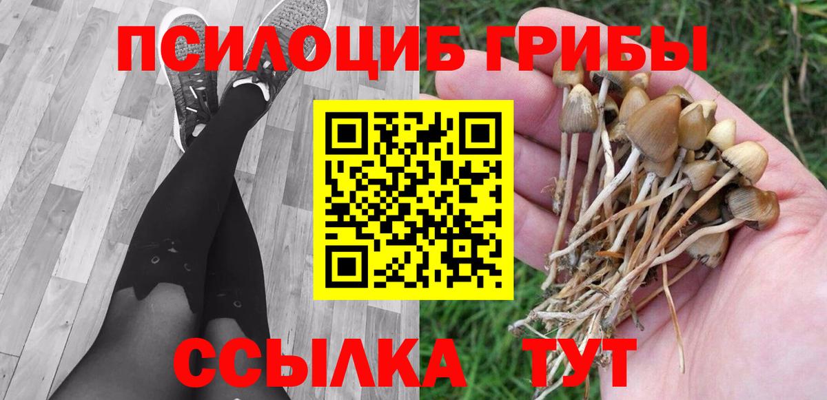 Псилоцибиновые грибы Psilocybe  Галлюциногенные грибы Magic Shrooms  Михайловск  Вход с VPN 